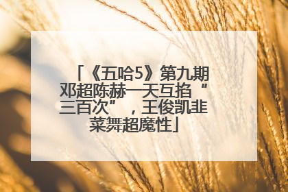 《五哈5》第九期邓超陈赫一天互掐“三百次”，王俊凯韭菜舞超魔性