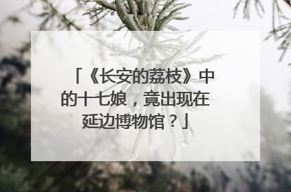 《长安的荔枝》中的十七娘，竟出现在延边博物馆？