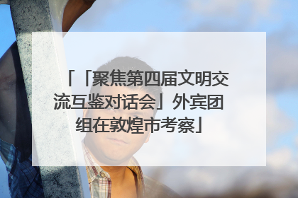 「聚焦第四届文明交流互鉴对话会」外宾团组在敦煌市考察