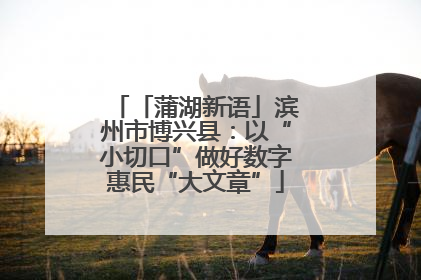 「蒲湖新语」滨州市博兴县：以“小切口”做好数字惠民“大文章”