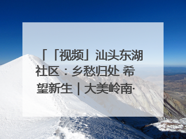 「视频」汕头东湖社区：乡愁归处 希望新生｜大美岭南·百村焕新记