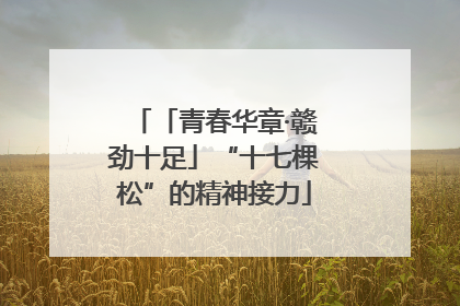 「青春华章·赣劲十足」“十七棵松”的精神接力