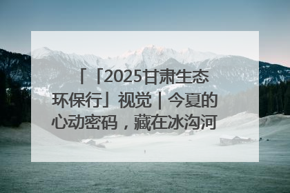 「2025甘肃生态环保行」视觉｜今夏的心动密码，藏在冰沟河的潋滟波光里
