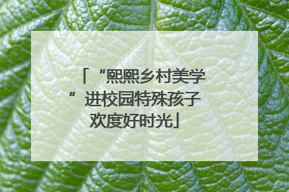 “熙熙乡村美学”进校园特殊孩子欢度好时光