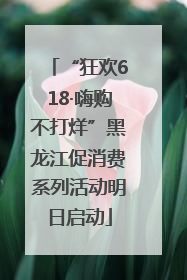 “狂欢618·嗨购不打烊”黑龙江促消费系列活动明日启动