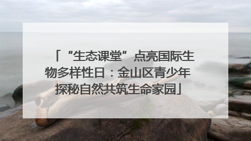 “生态课堂”点亮国际生物多样性日：金山区青少年探秘自然共筑生命家园