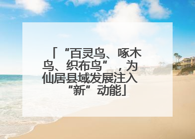 “百灵鸟、啄木鸟、织布鸟”，为仙居县域发展注入“新”动能