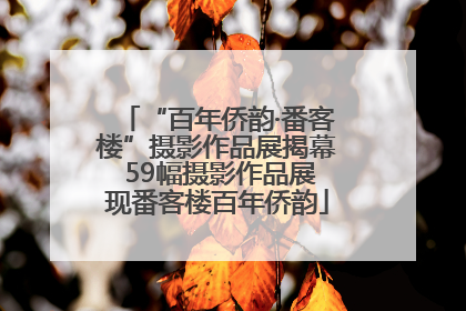 “百年侨韵·番客楼”摄影作品展揭幕 59幅摄影作品展现番客楼百年侨韵