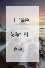 “紫色花海”引客来