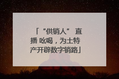 “供销人” 直播 吆喝，为土特产开辟数字销路