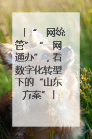 “一网统管”“一网通办”，看数字化转型下的“山东方案”