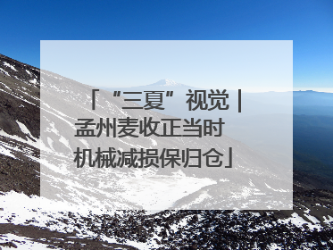 “三夏”视觉｜孟州麦收正当时 机械减损保归仓