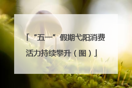 “五一”假期弋阳消费活力持续攀升（图）