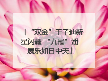 “双金”于子迪新星闪耀 “九冠”潘展乐如日中天