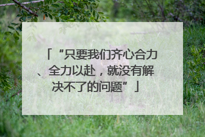 “只要我们齐心合力、全力以赴，就没有解决不了的问题”