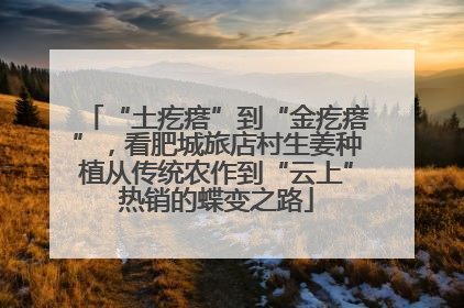 “土疙瘩”到“金疙瘩”，看肥城旅店村生姜种植从传统农作到“云上”热销的蝶变之路