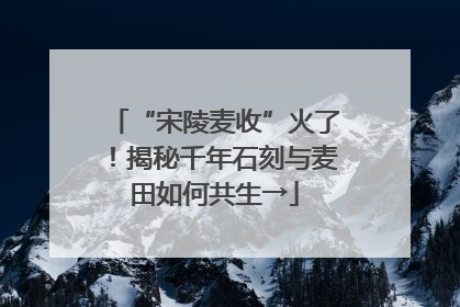 “宋陵麦收”火了！揭秘千年石刻与麦田如何共生→