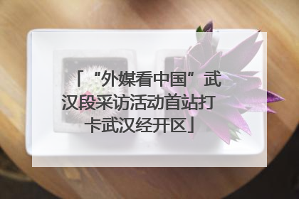 “外媒看中国”武汉段采访活动首站打卡武汉经开区