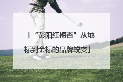 “彭阳红梅杏”从地标到金标的品牌蜕变