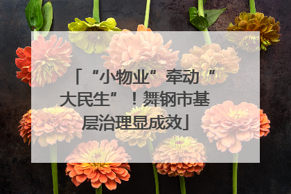 “小物业”牵动“大民生”！舞钢市基层治理显成效