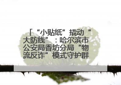 “小贴纸”撬动“大防线”：哈尔滨市公安局香坊分局“物流反诈”模式守护群众“钱袋子”