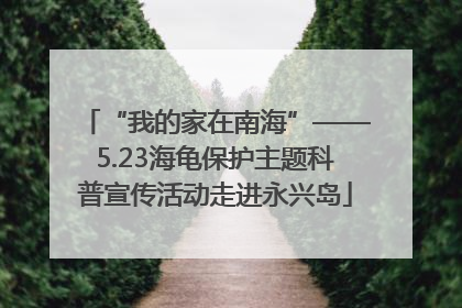 “我的家在南海”——5.23海龟保护主题科普宣传活动走进永兴岛