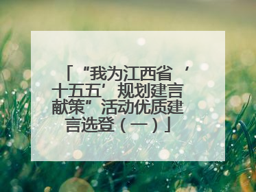 “我为江西省‘十五五’规划建言献策”活动优质建言选登（一）
