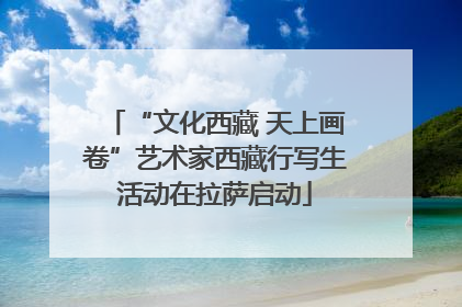 “文化西藏 天上画卷”艺术家西藏行写生活动在拉萨启动
