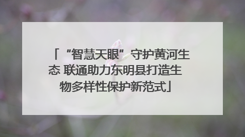 “智慧天眼”守护黄河生态 联通助力东明县打造生物多样性保护新范式