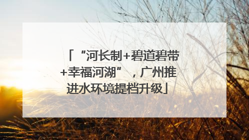 “河长制+碧道碧带+幸福河湖”，广州推进水环境提档升级