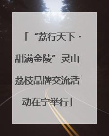 “荔行天下・甜满金陵”灵山荔枝品牌交流活动在宁举行