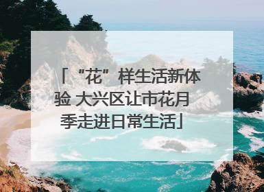 “花”样生活新体验 大兴区让市花月季走进日常生活
