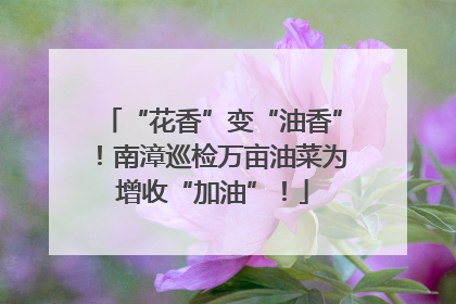 “花香”变“油香”！南漳巡检万亩油菜为增收“加油”！