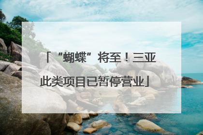 “蝴蝶”将至！三亚此类项目已暂停营业