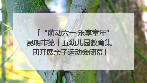 “萌动六一·乐享童年”昆明市第十五幼儿园教育集团开展亲子运动会闭幕