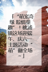 “萌宠奇缘 粽情童趣”！桃浦镇这场迎端午、庆六一主题活动“萌”翻全场～