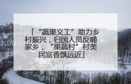 “蔬果义工”助力乡村振兴，归国人员反哺家乡，“果蔬村”村美民富香飘远近