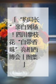 “豹局长”亲自到场！四川攀枝花“自带香味”亮相西博会丨图集