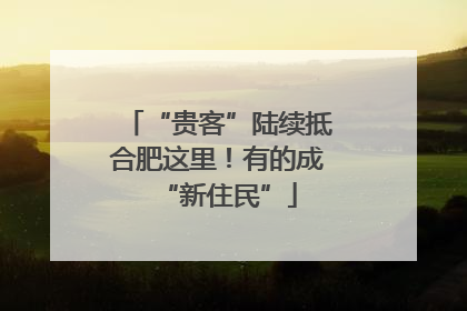 “贵客”陆续抵合肥这里！有的成“新住民”