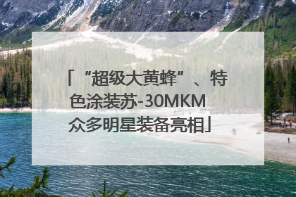 “超级大黄蜂”、特色涂装苏-30MKM 众多明星装备亮相