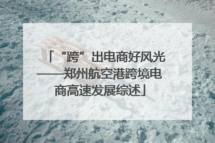 “跨”出电商好风光——郑州航空港跨境电商高速发展综述