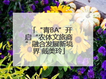 “青BA”开启“农体文旅商”融合发展新境界 戴美玲