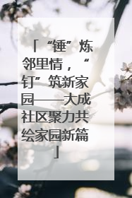 “锤”炼邻里情，“钉”筑新家园——大成社区聚力共绘家园新篇
