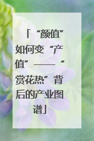 “颜值”如何变“产值”——“赏花热”背后的产业图谱