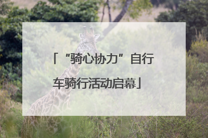 “骑心协力”自行车骑行活动启幕
