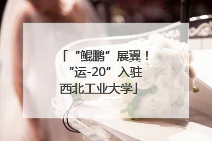 “鲲鹏”展翼！“运-20”入驻西北工业大学