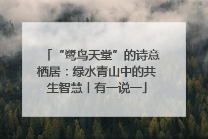 “鹭鸟天堂”的诗意栖居：绿水青山中的共生智慧丨有一说一