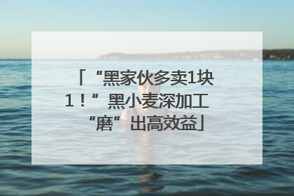 “黑家伙多卖1块1！”黑小麦深加工“磨”出高效益
