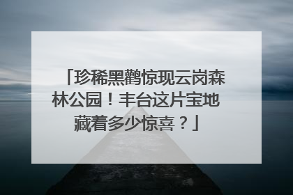 珍稀黑鹳惊现云岗森林公园！丰台这片宝地藏着多少惊喜？