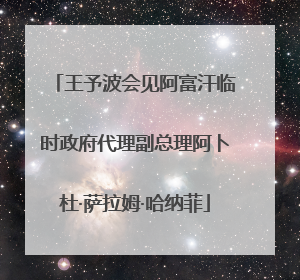王予波会见阿富汗临时政府代理副总理阿卜杜·萨拉姆·哈纳菲